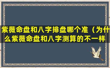 紫薇命盘和八字排盘哪个准（为什么紫薇命盘和八字测算的不一样 🐘 ）